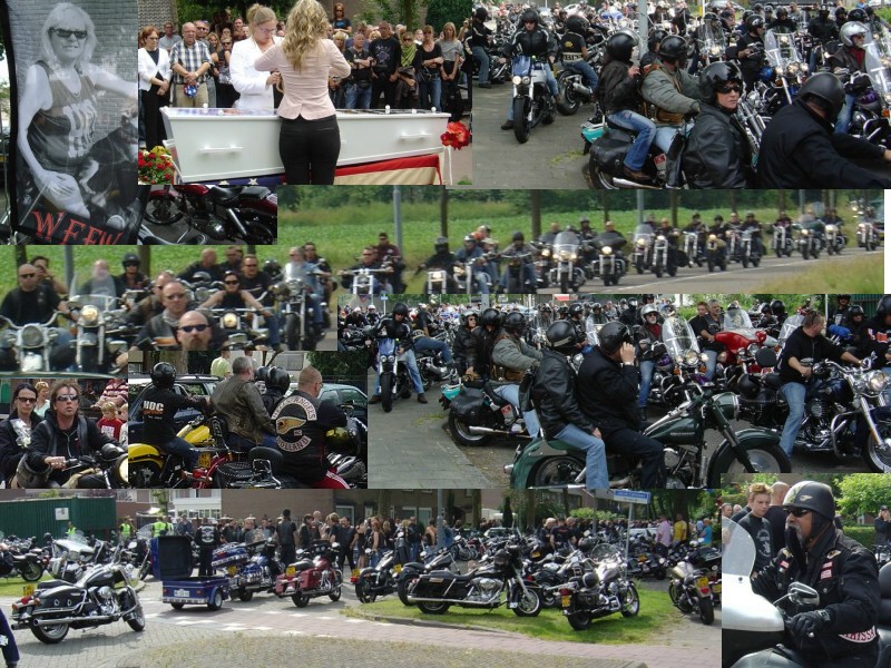 Images/Collage.jpg